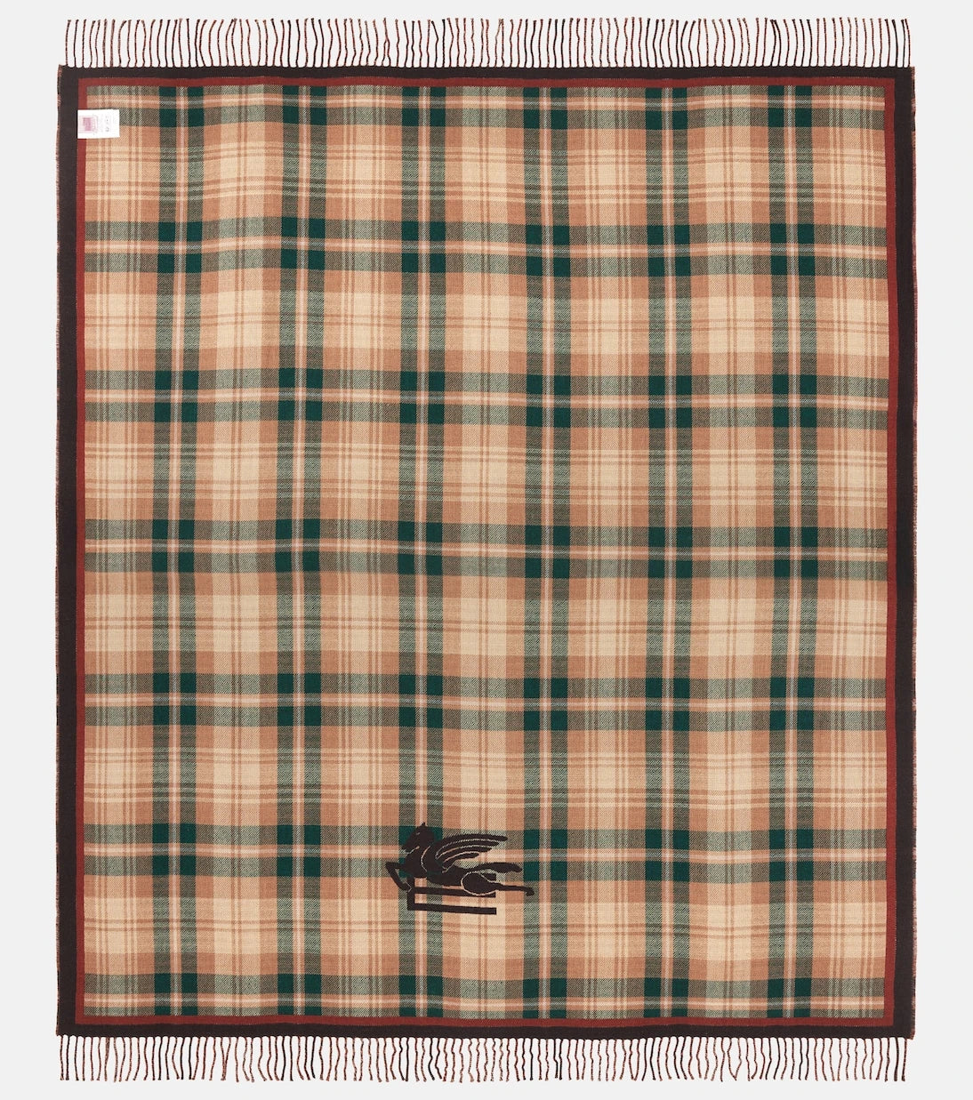 Etro - Boyd wool throw