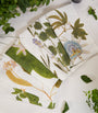Summerill & Bishop Set of 6 Linen Tisane Herb Garden Napkins (50cm x 50cm)