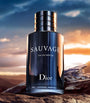 Sauvage Eau de Parfum (60ml)