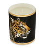 Dolce & Gabbana Casa Porcelain Patchouli Scented Candle (340g)