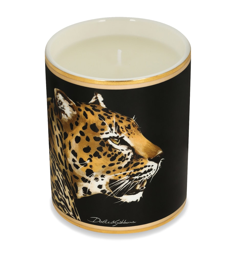 Dolce & Gabbana Casa Porcelain Patchouli Scented Candle (340g)