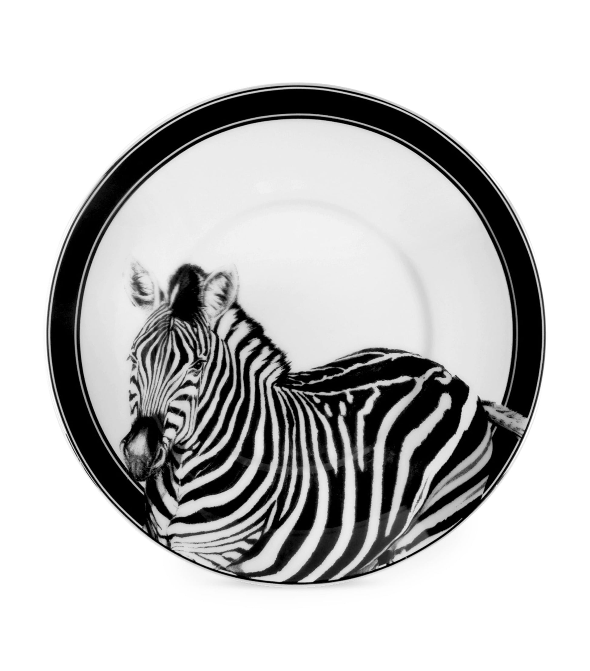 Dolce & Gabbana Casa Zebra Coffee Cups and Saucers (Set of 2)