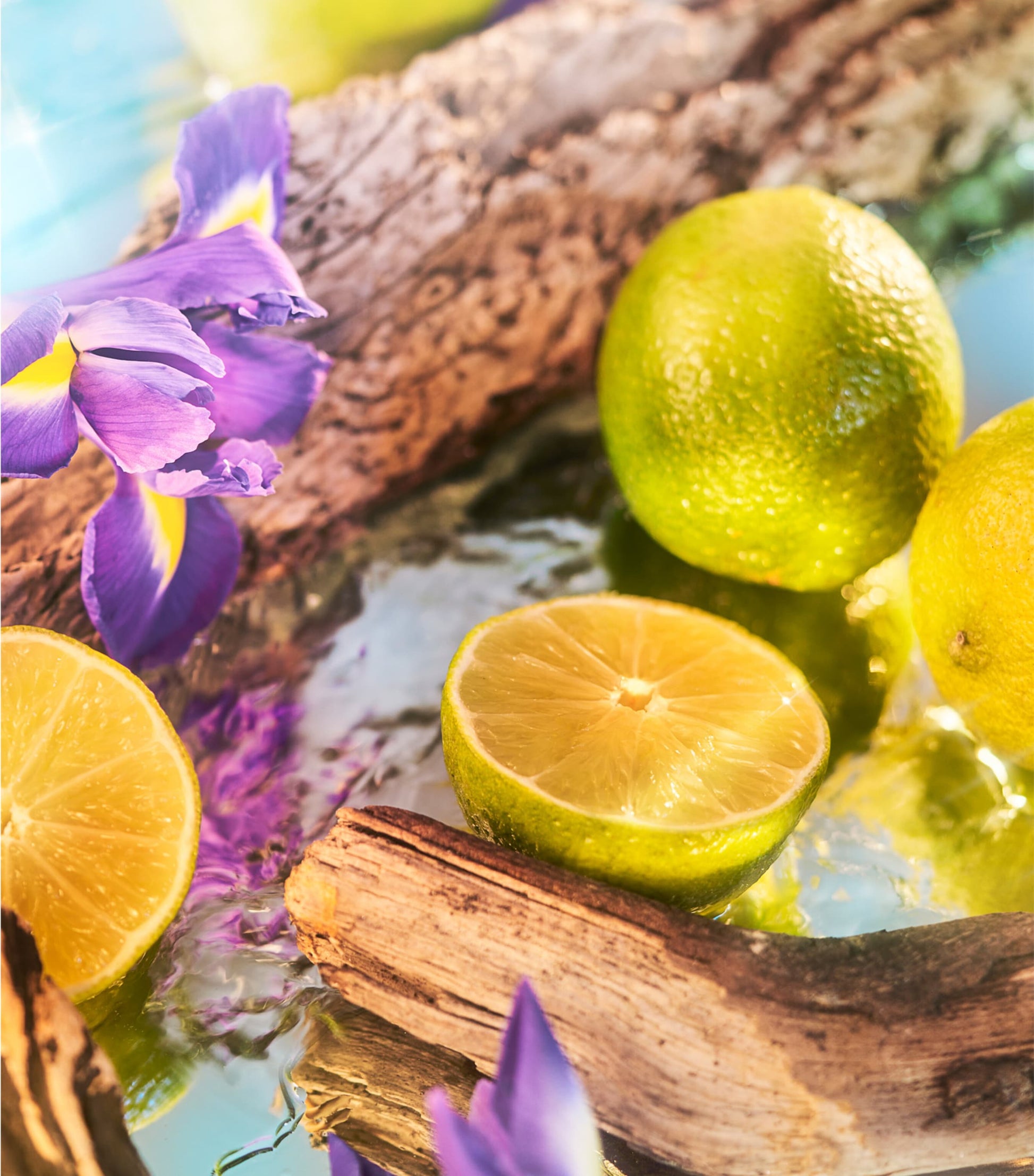 Oceania Pure Perfume (50ml)