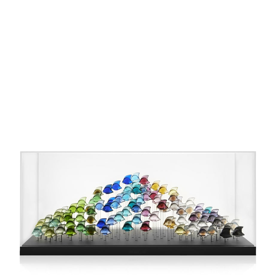 Lalique 100 Fish Tank Base and Lid Aquarium Display