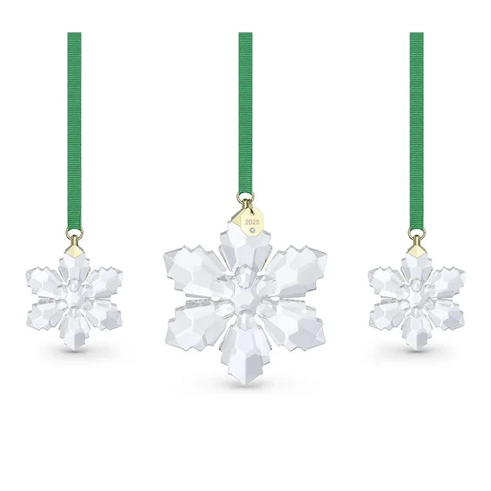 Swarovski ANNUAL Asılı Dekorasyon Seti