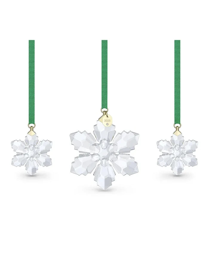 Swarovski ANNUAL Asılı Dekorasyon Seti