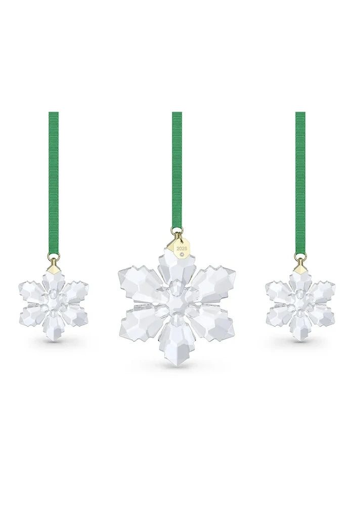 Swarovski ANNUAL Asılı Dekorasyon Seti