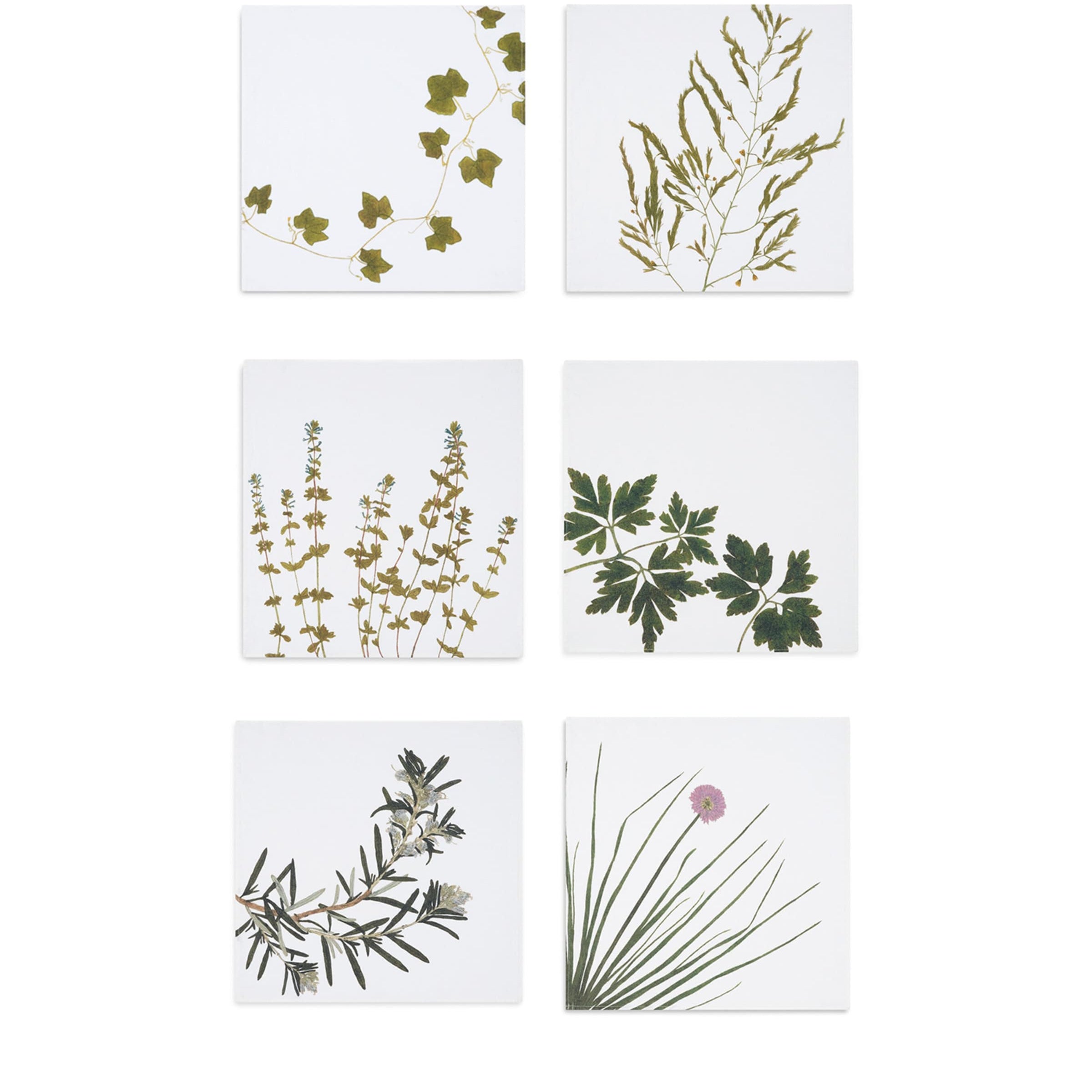 Set of 6 Linen Gastronomic Herb Garden Napkins (50cm x 50cm)