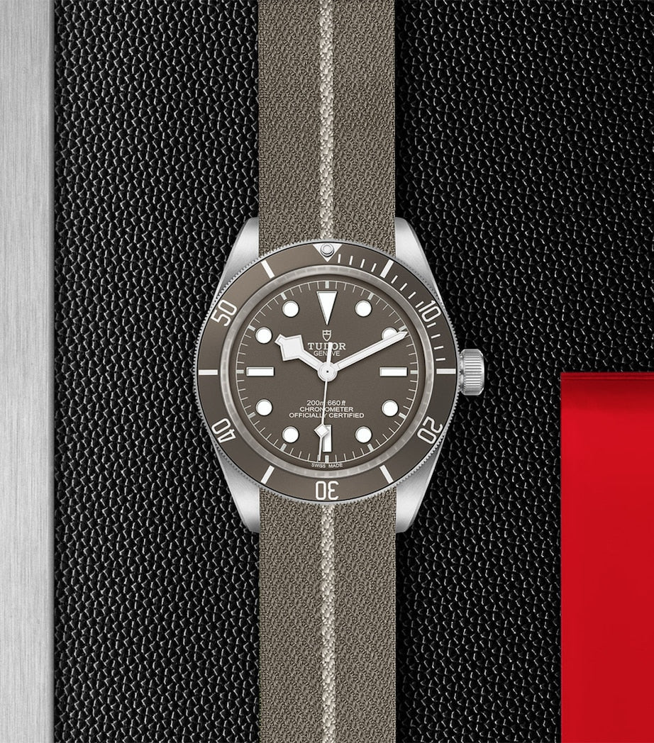 TUDOR Black Bay Fifty-Eight Silver Watch 39mm