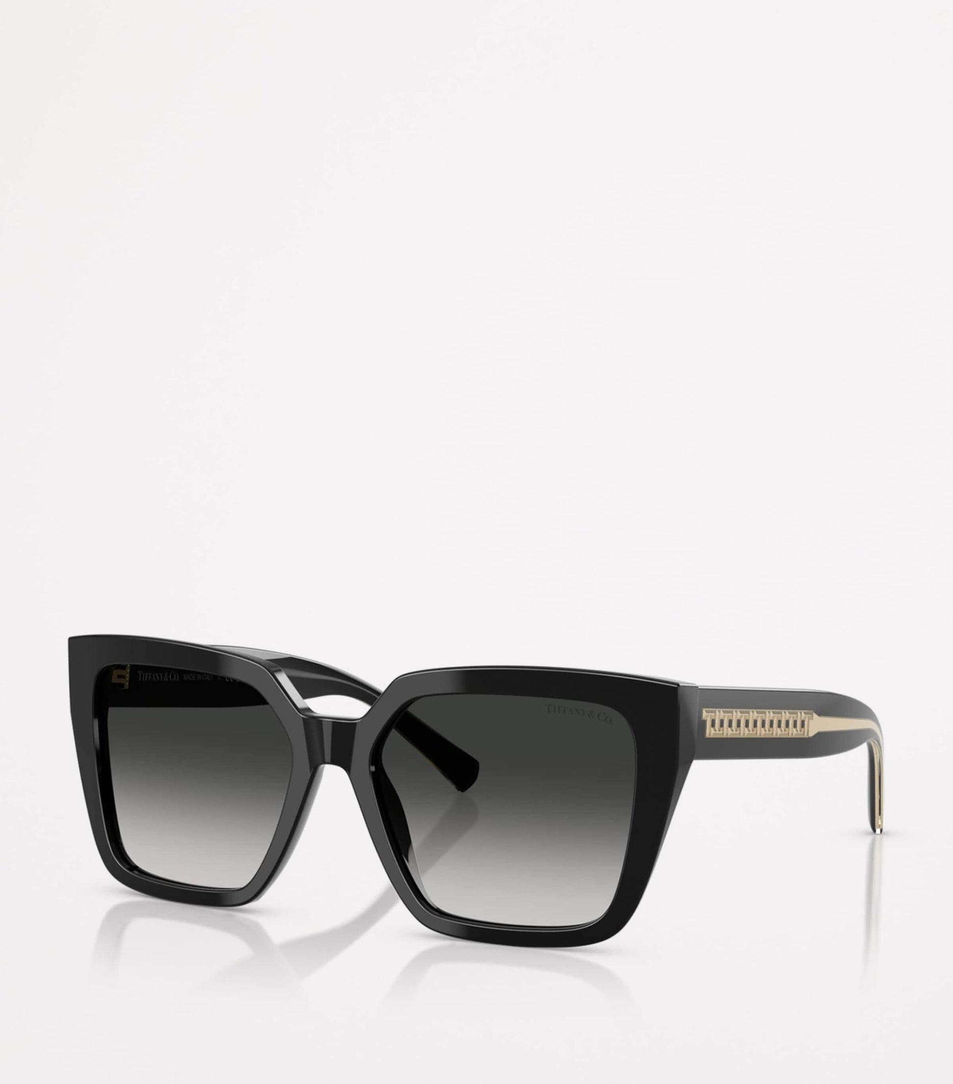Tiffany & Co. Black Acetate Square TF4235 Sunglasses