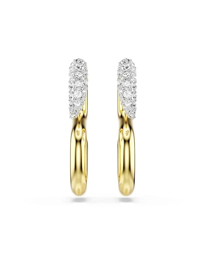 Swarovski Kadın Kristal Swarovski DEXTERA Küpe