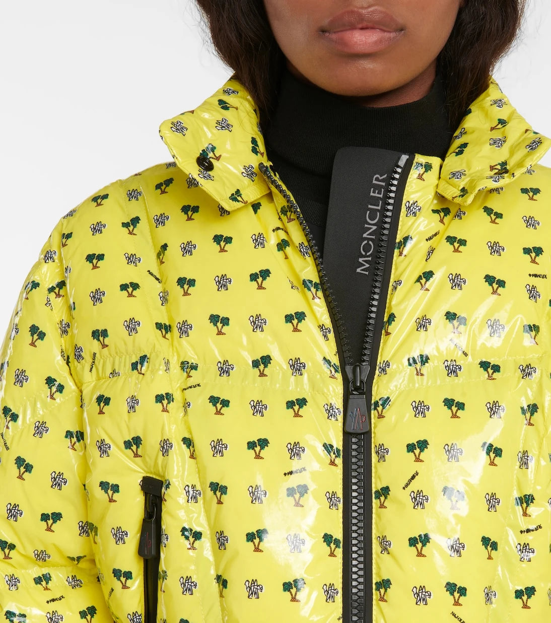 Moncler Grenoble - Peyrins printed down ski jacket
