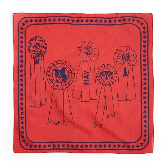 HAY evcil hayvan bandanası 55 x 55 cm
