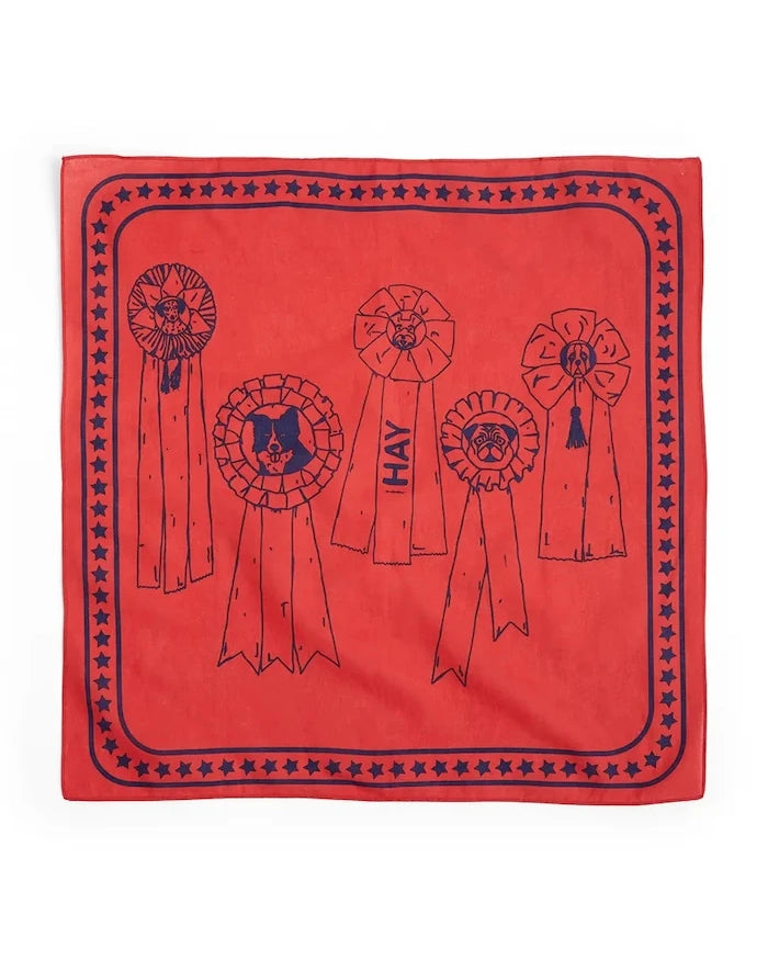 HAY бандана домашен любимец 55 x 55 cm
