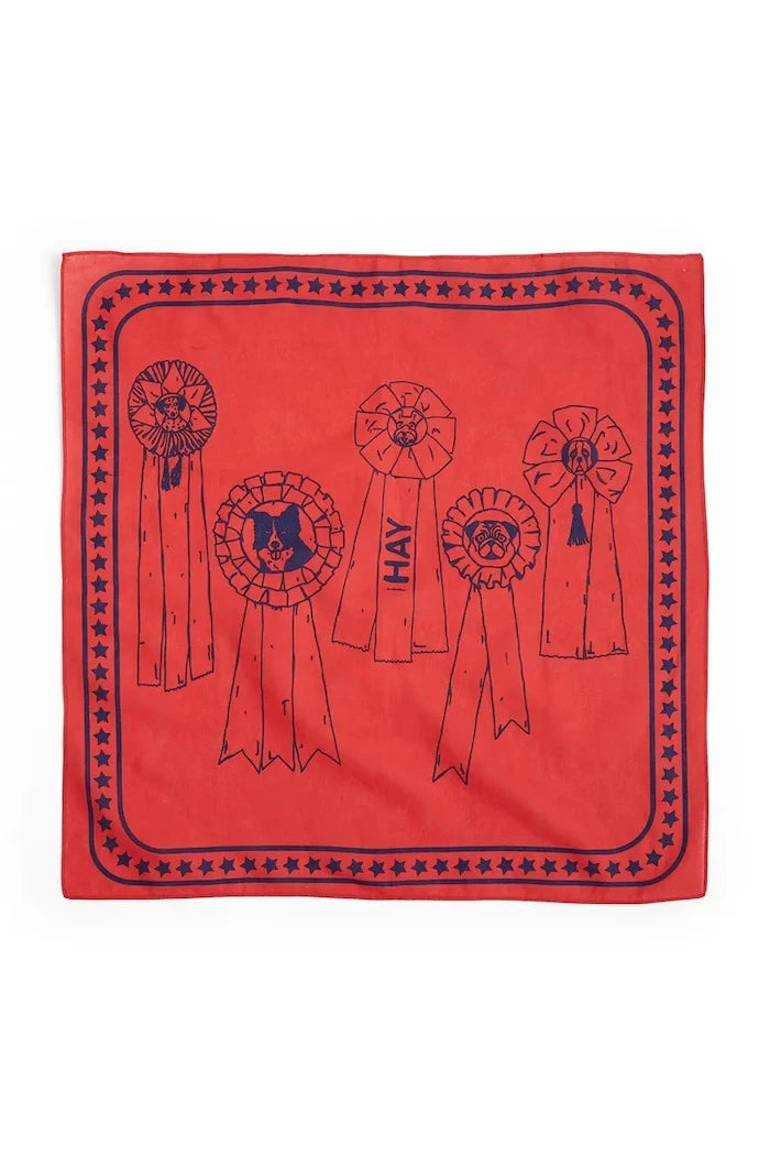 HAY evcil hayvan bandanası 55 x 55 cm