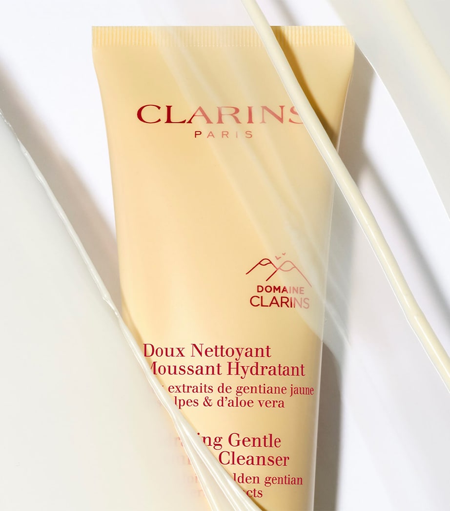 Clarins Hydrating Gentle Foaming Cleanser (125ml)