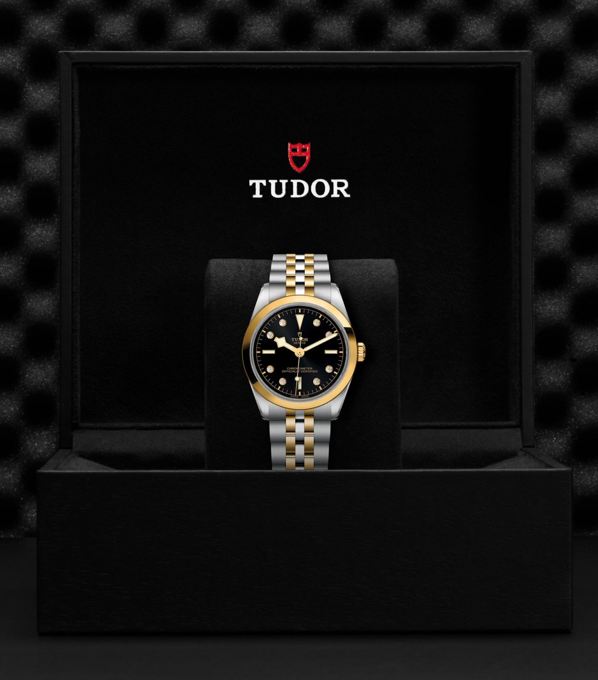 TUDOR Black Bay One Stainless Steel, Yellow Gold and Diamond Watch 36mm