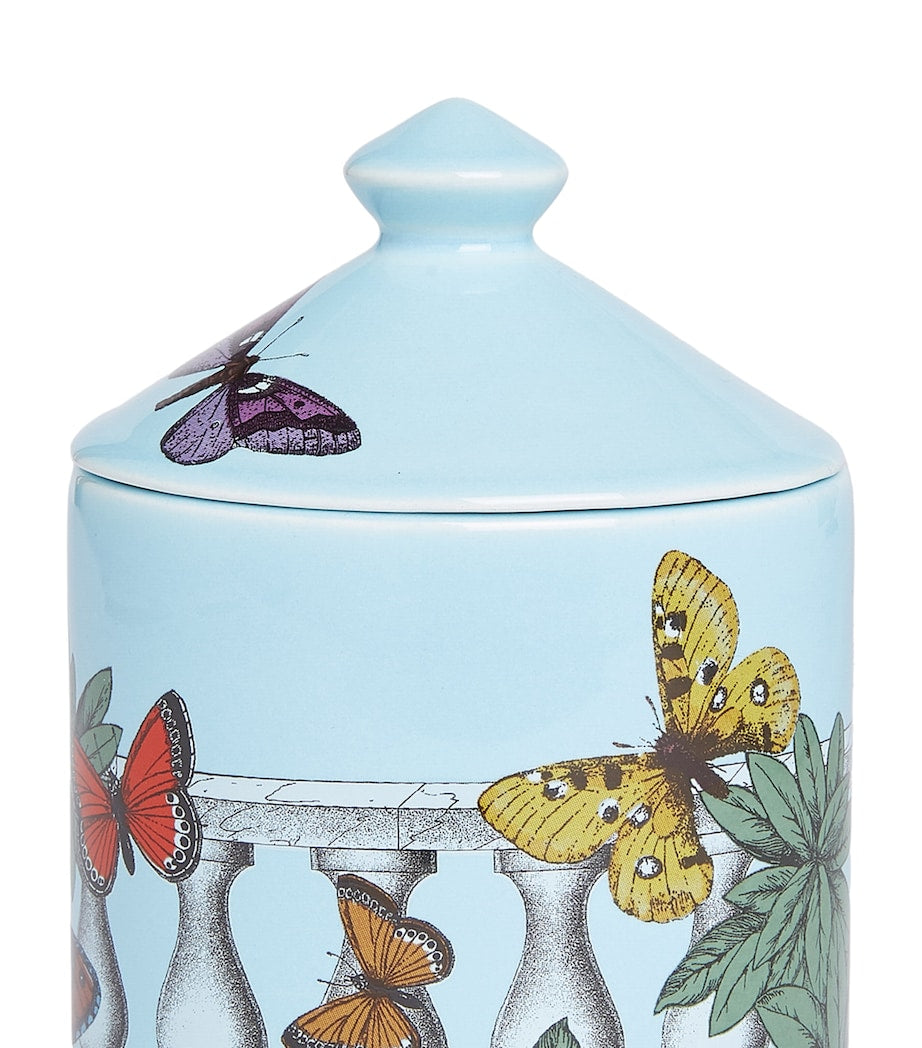 Small Farfalle e Balaustra Candle (310g)