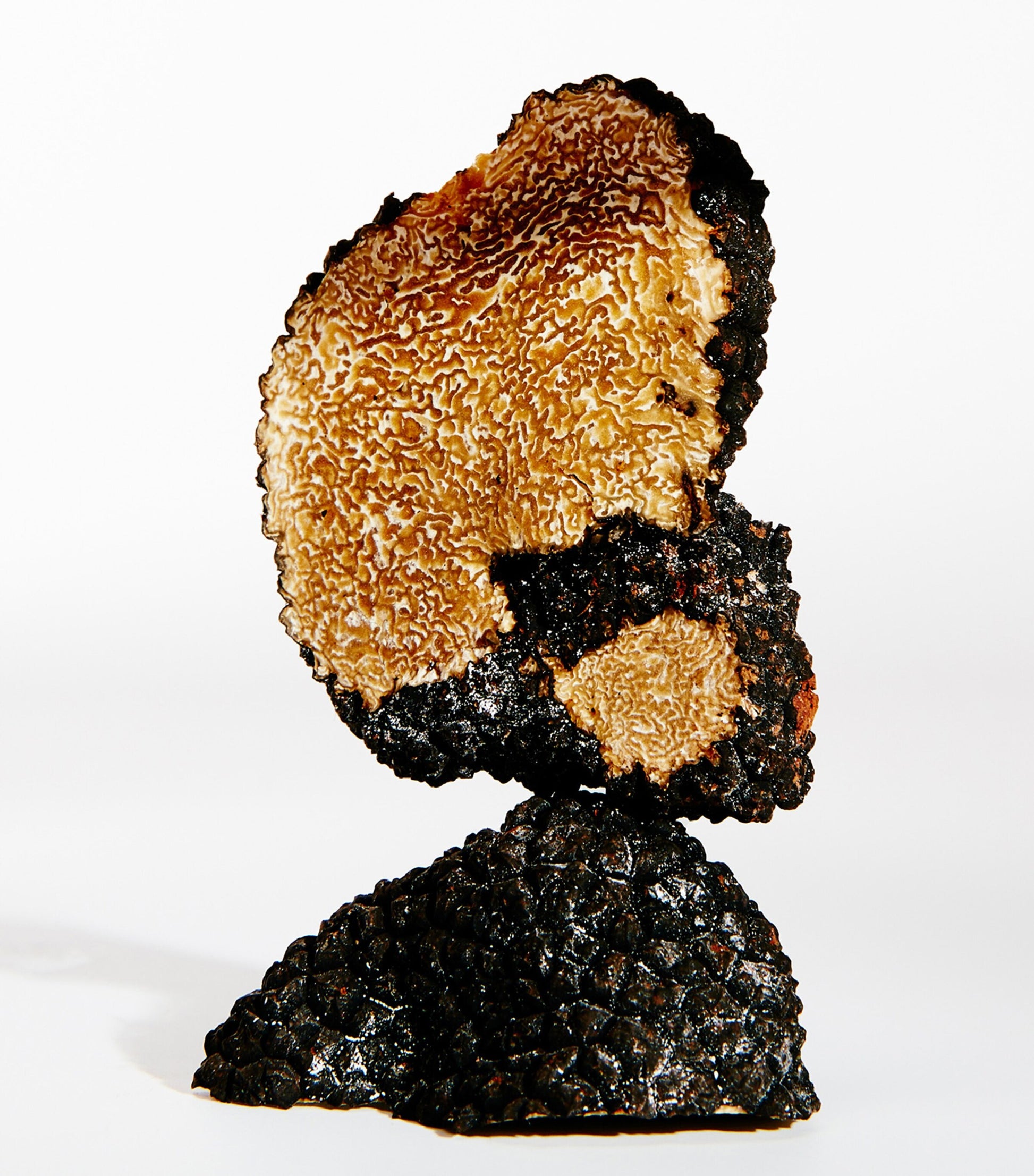 Earth Eau de Parfum (100ml)