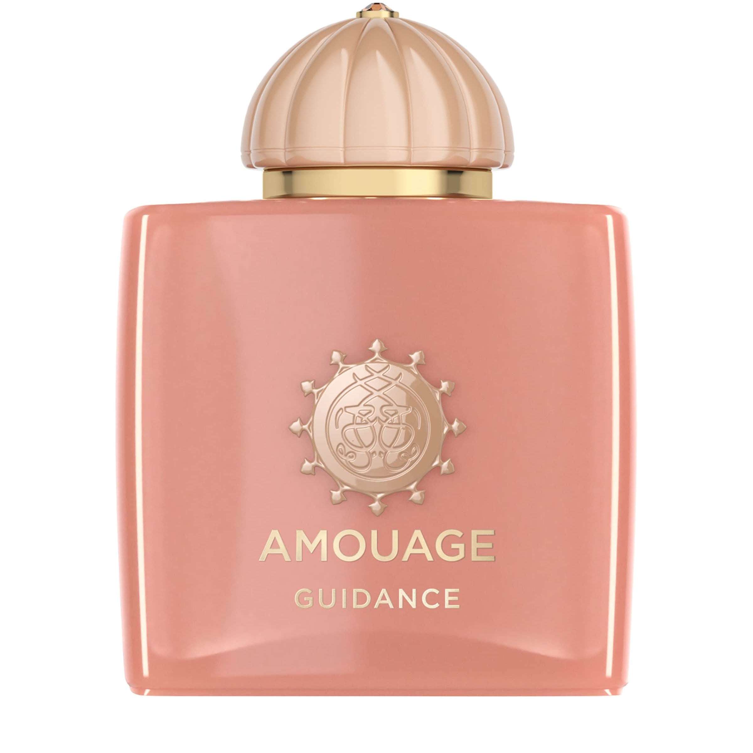 Guidance Eau de Parfum (100ml)