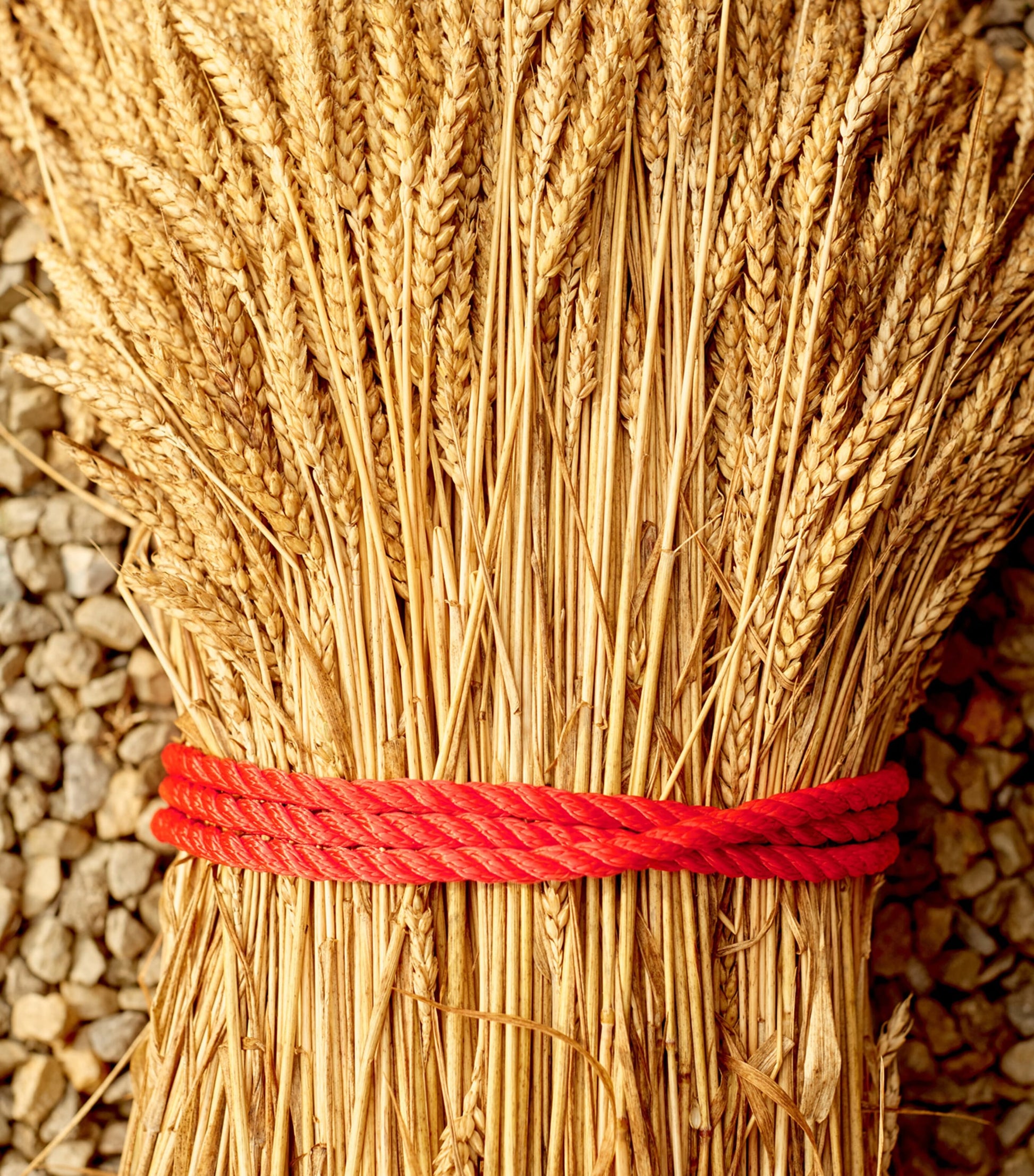 Maker's Mark Star Hill Farm Whisky (70cl)