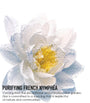 Purifying Nymphéa-Infused Micellar Water (200ml)