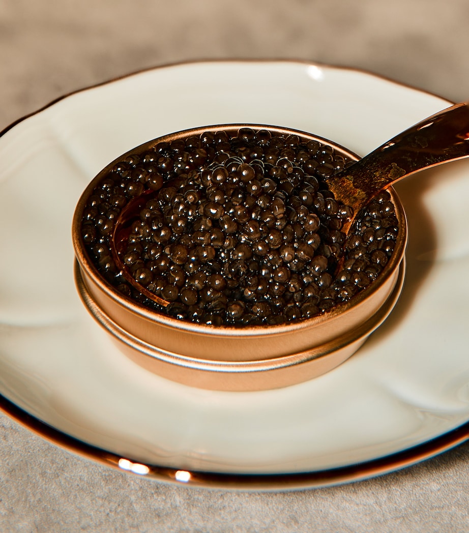 Harrods Beluga Caviar (125g)