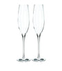 Set of 2 Elegance Optic Champagne Flutes (300ml)