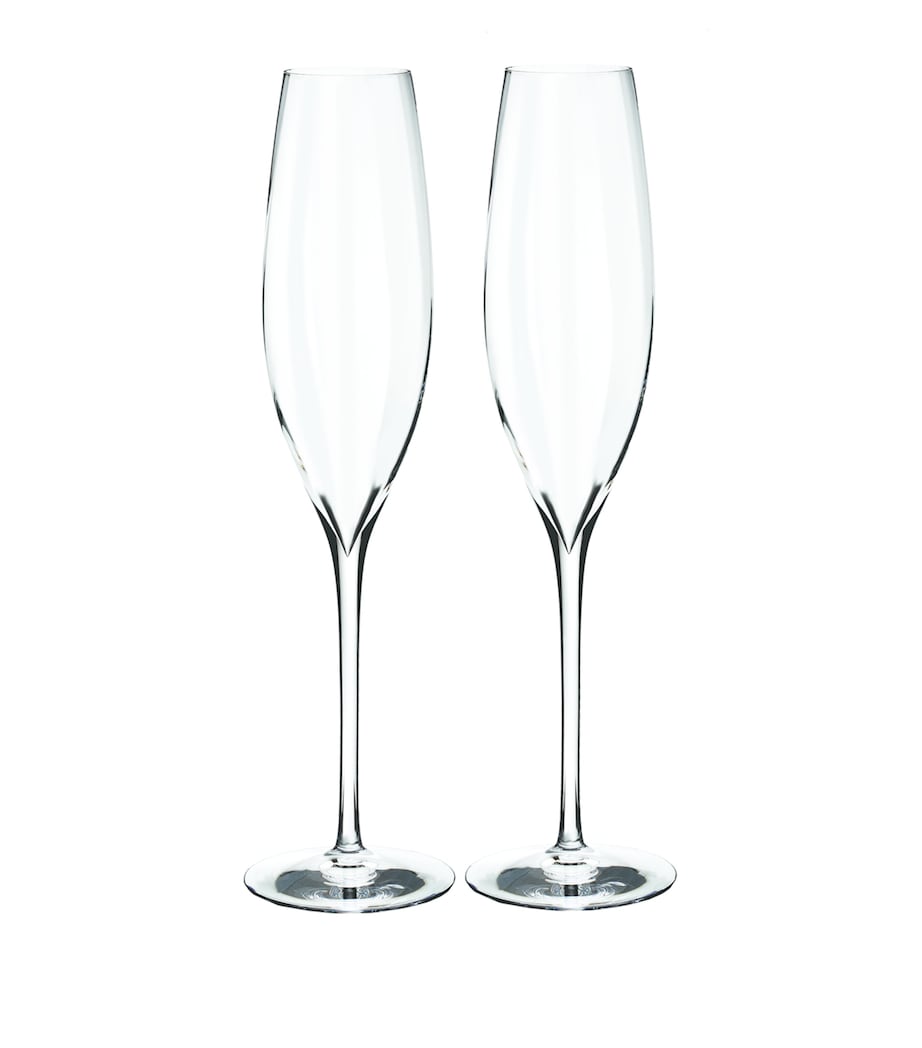 Set of 2 Elegance Optic Champagne Flutes (300ml)