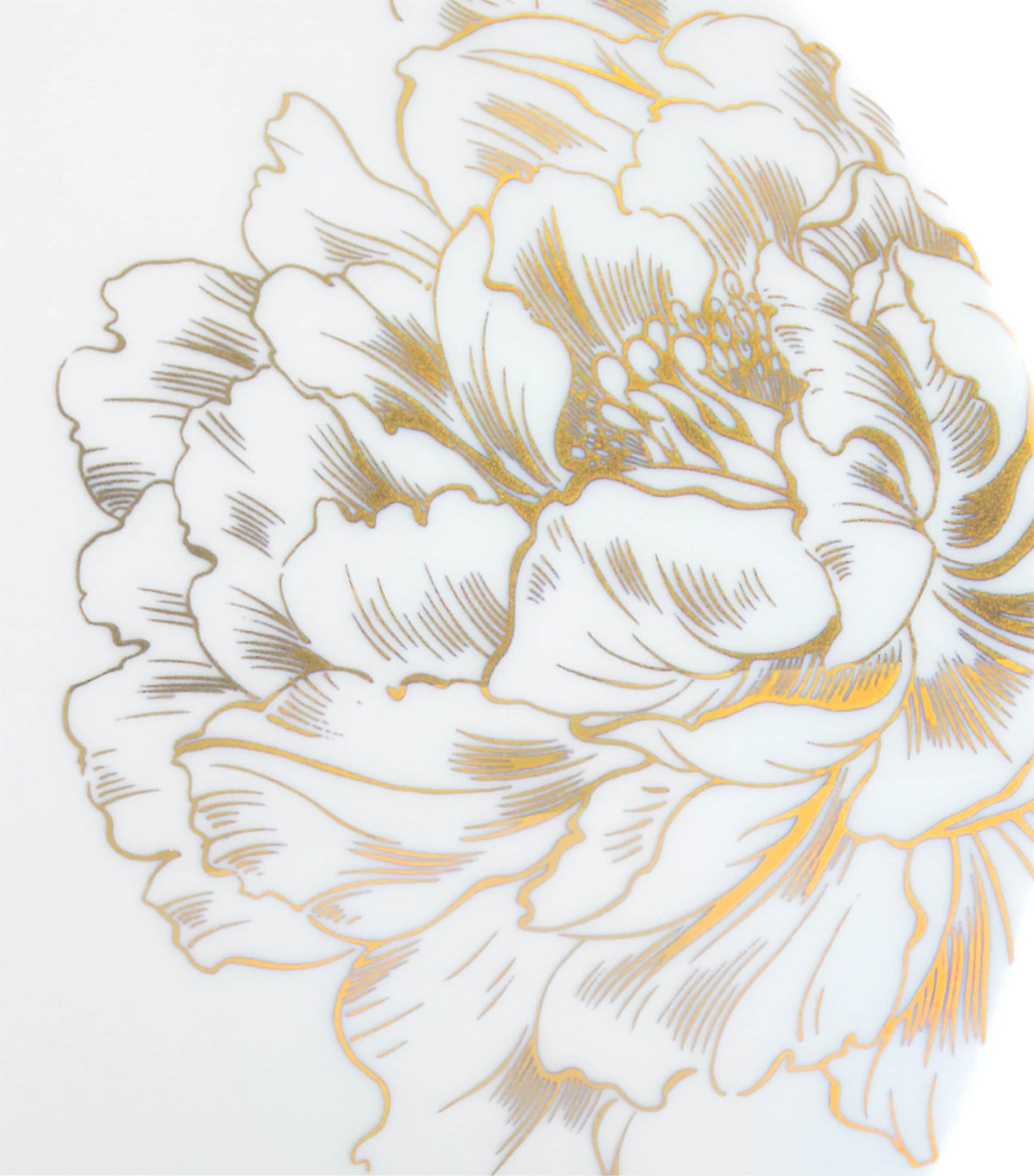 Meissen Large Porcelain Giant Bloom Vase (25.5cm)