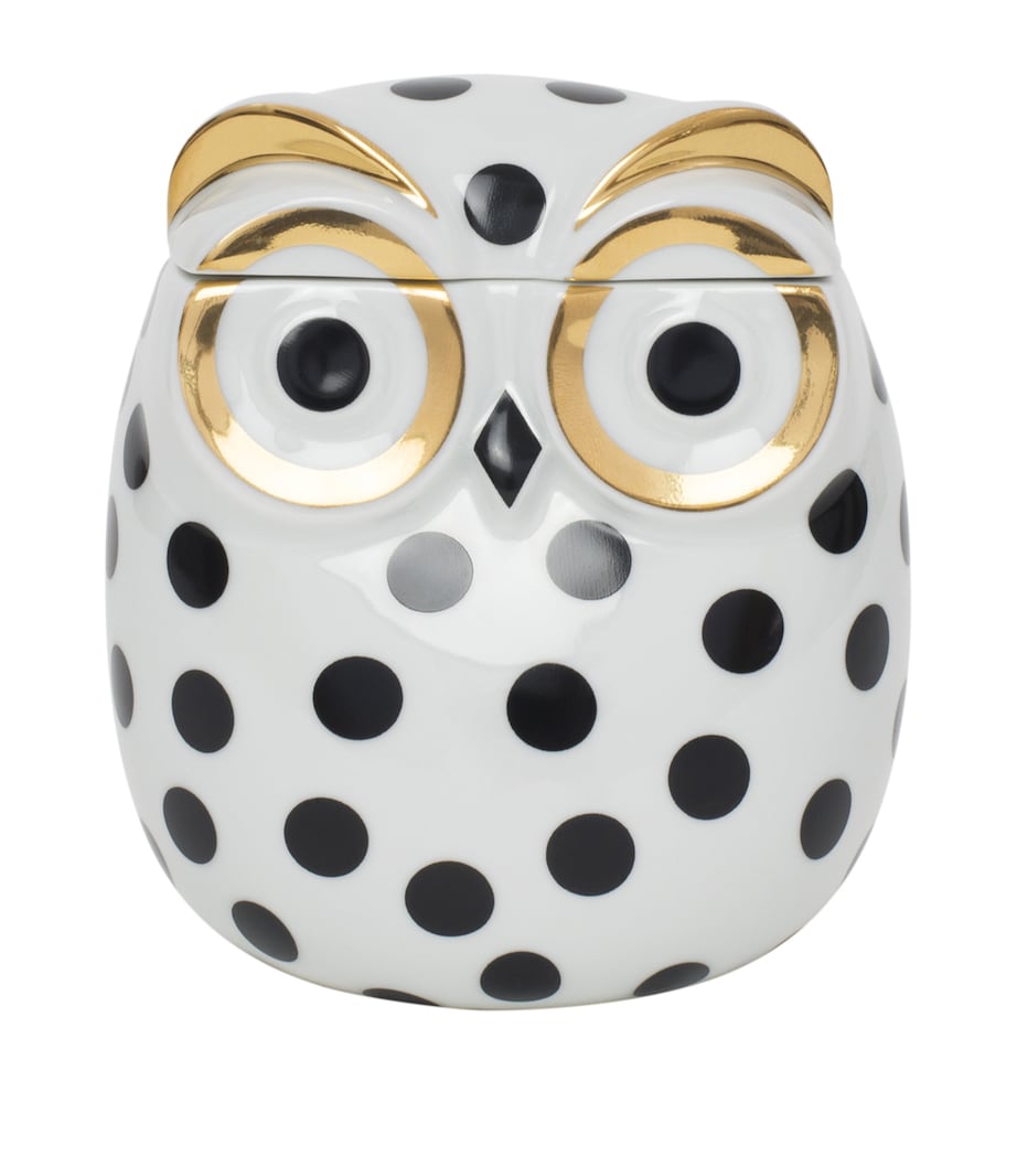 Civetta Impallinata Jar