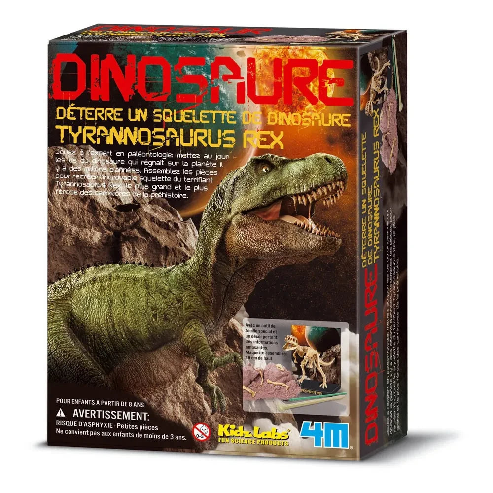 4M - Dig A T-Rex Dino Kit