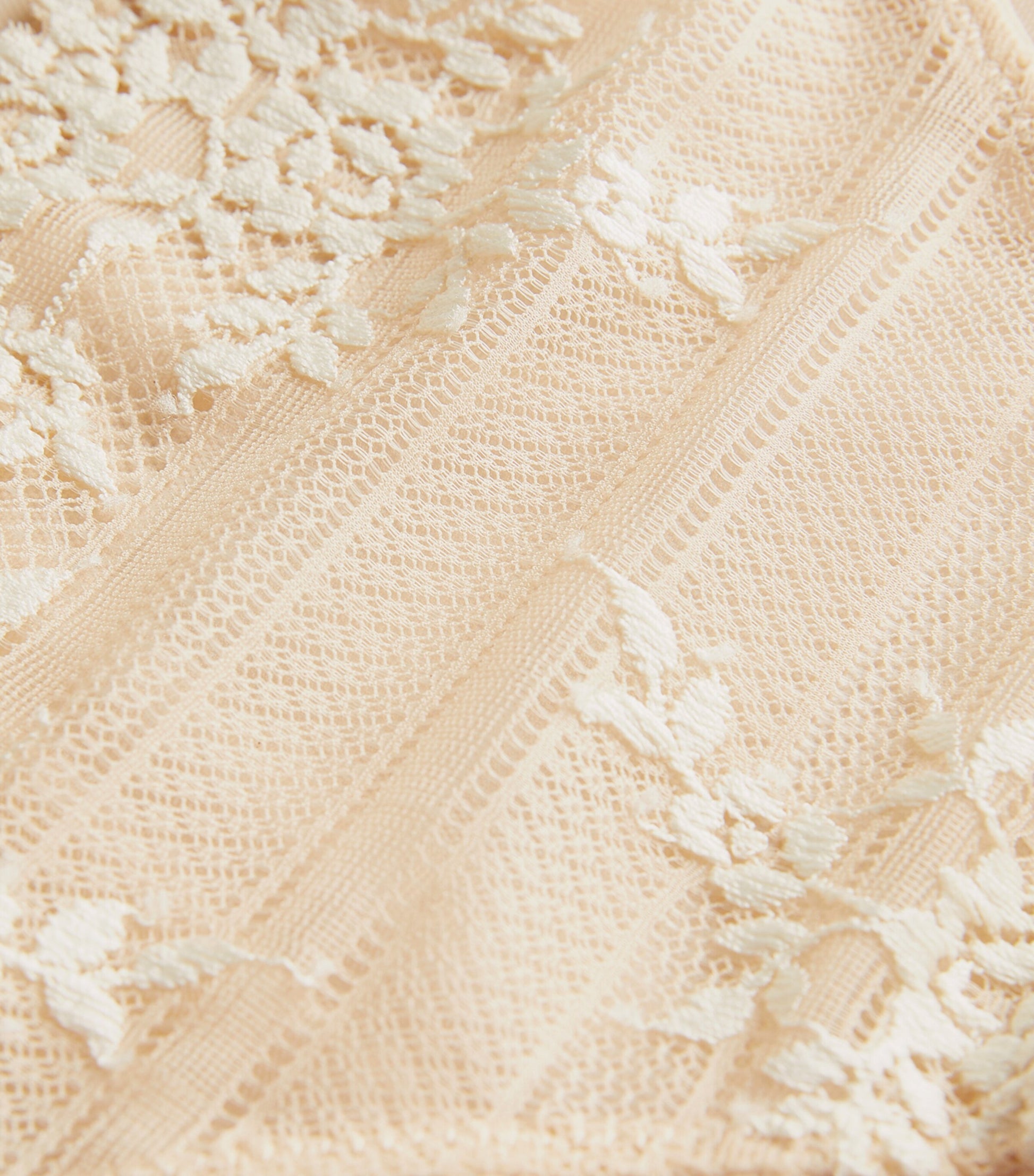 Nude Embrace Lace Bikini Briefs