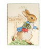 Peter Rabbit Egg Hunt Kit