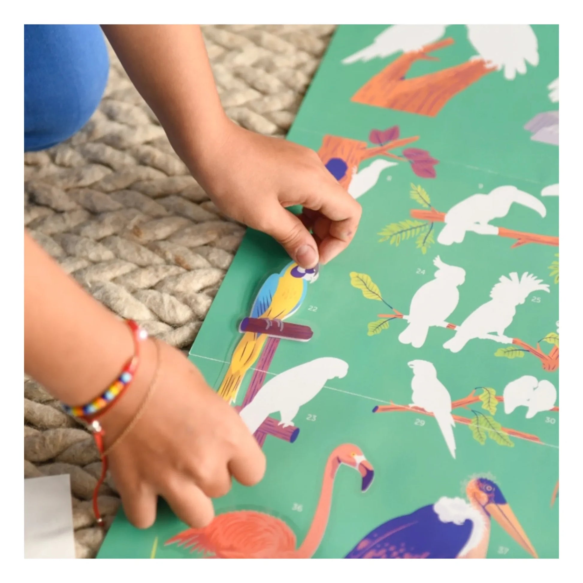 Poppik - Bird Poster and Stickers