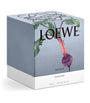 LOEWE Medium Beetroot Scented Candle