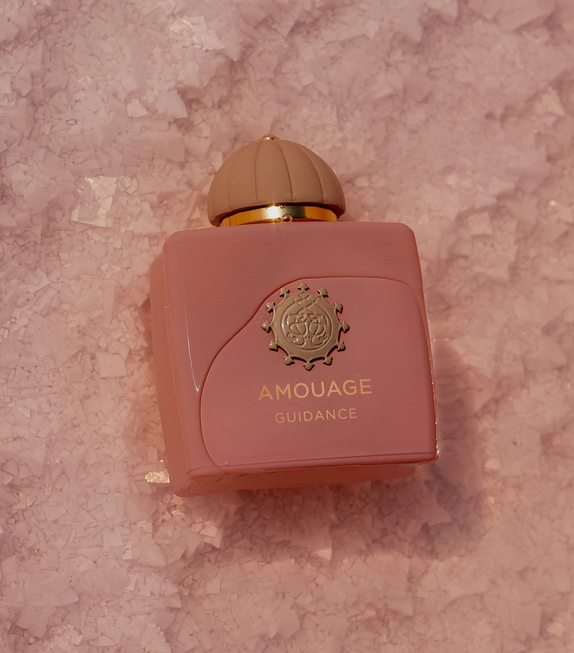 Guidance Eau de Parfum (100ml)