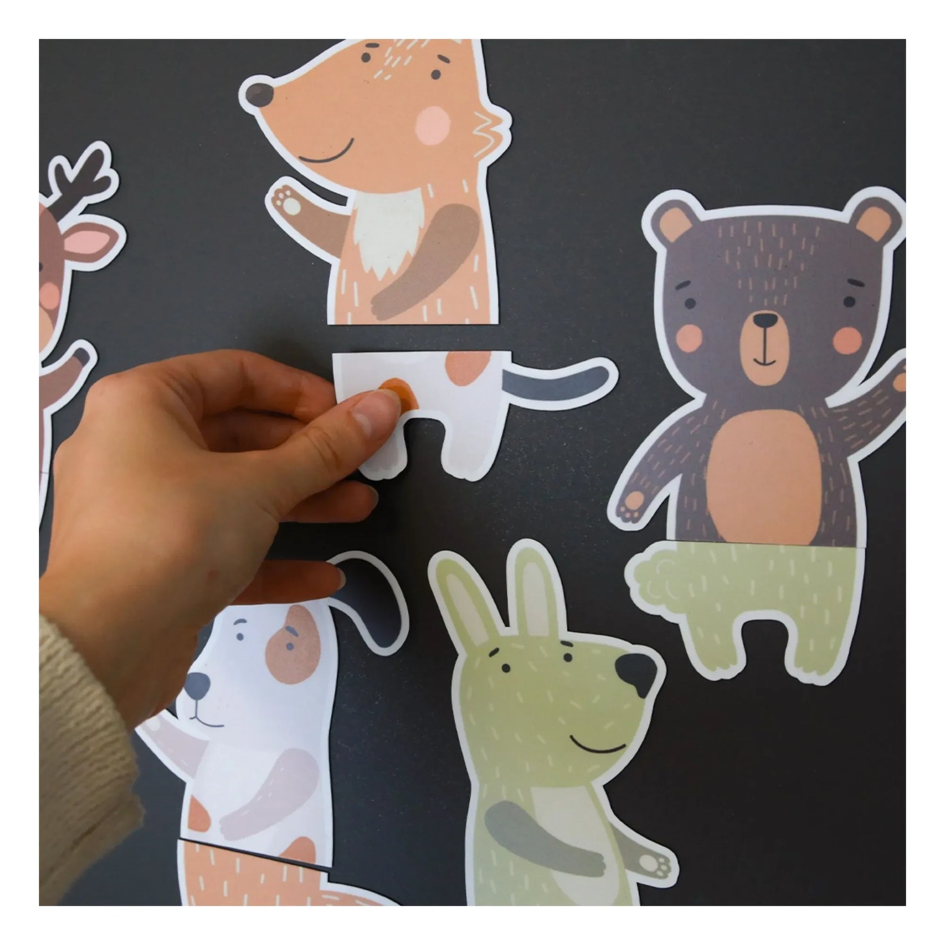 Ferflex - Compagnons des prés magnetic puzzle