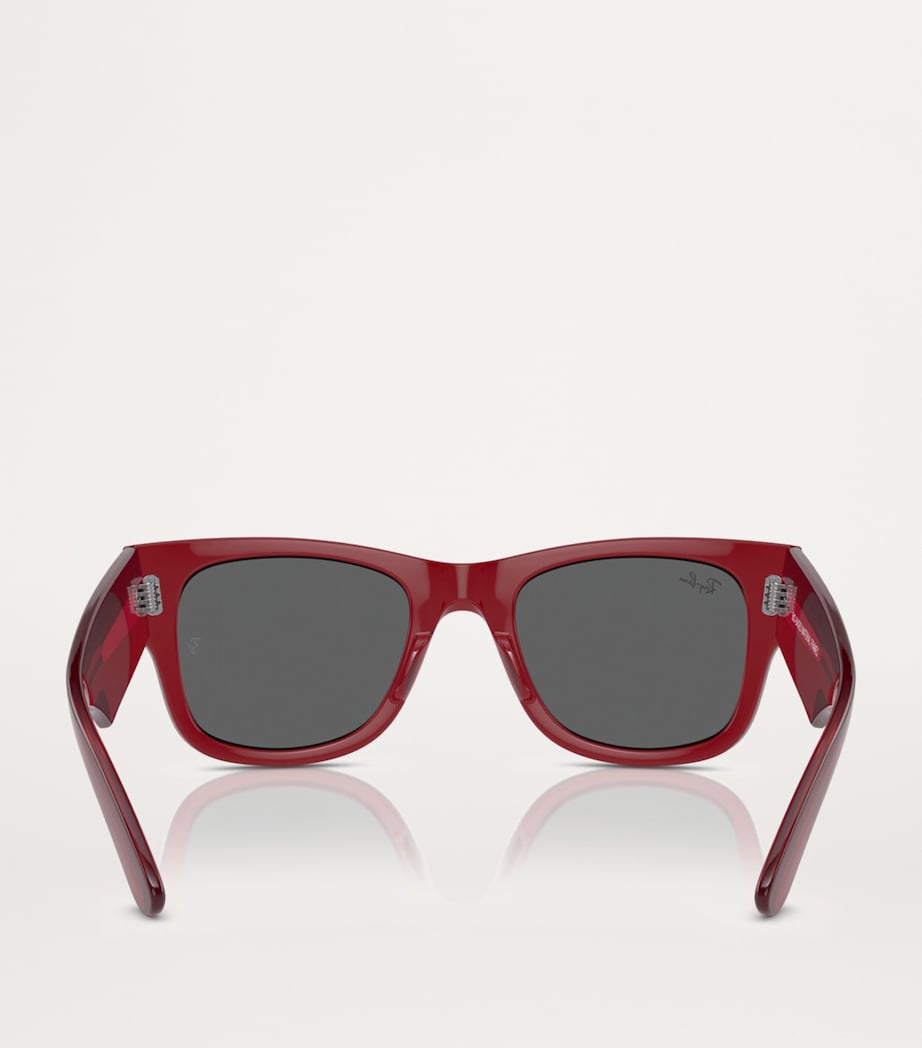 Ray-Ban Red Propionate 0RB0840S Sunglasses