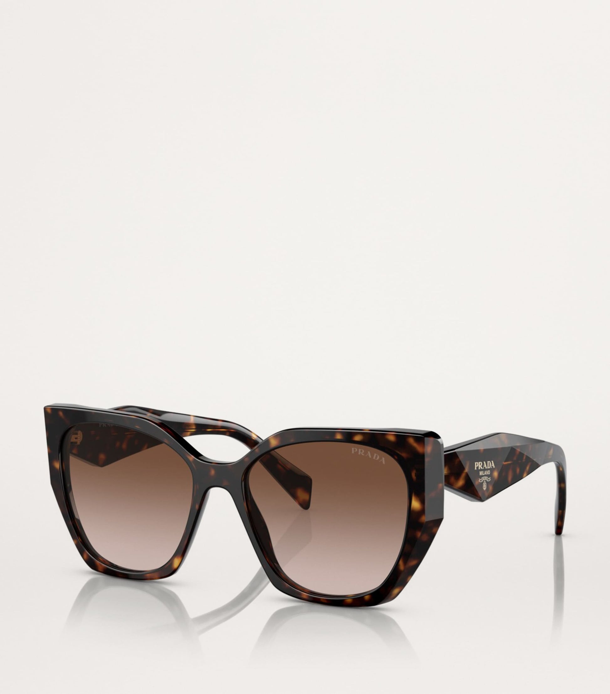 Brown Acetate PR 19ZS Sunglasses