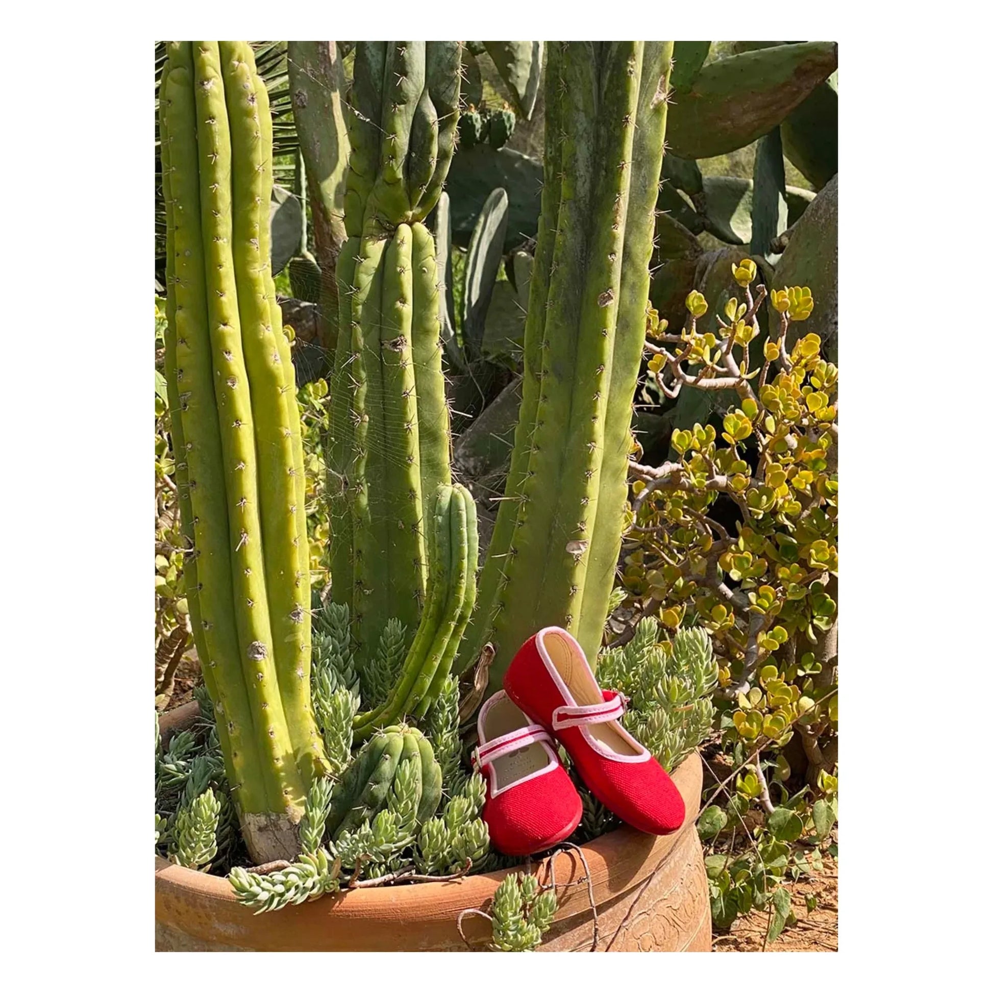 Hermosilla - Ballerinas Poppy  | Red