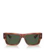 Acetate 0DG4451 Sunglasses