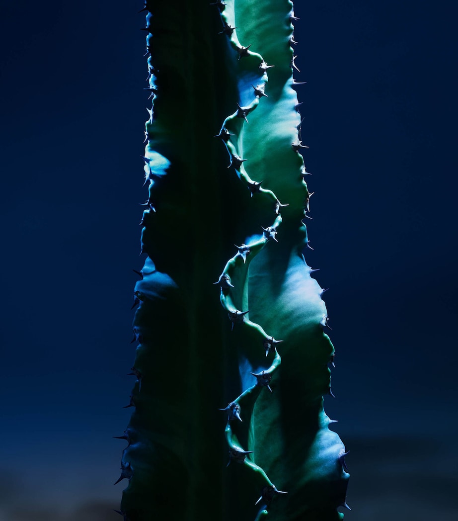 Sauvage The Cleanser (125ml)