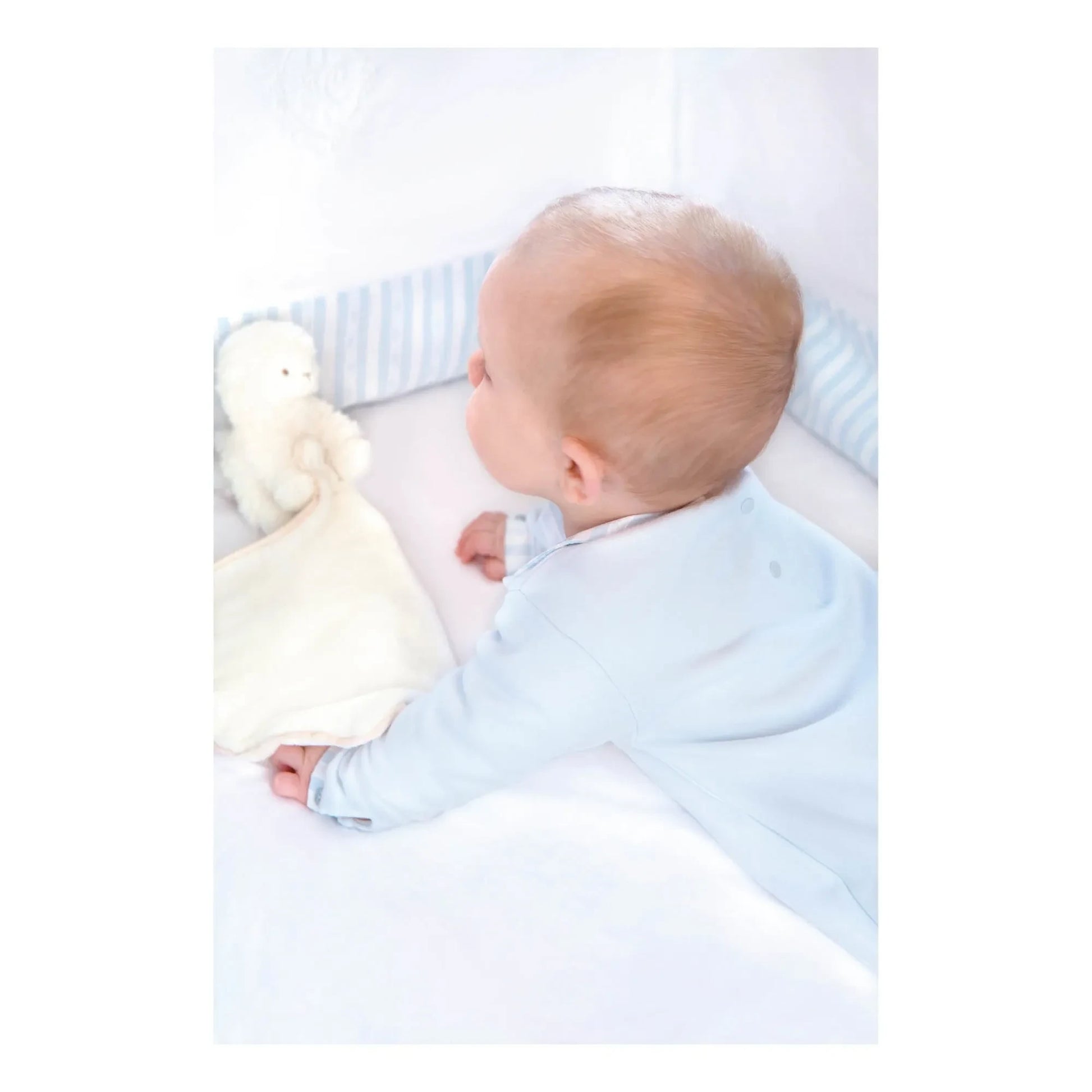 Tartine et Chocolat - Edmond The Sheep Comforter | Ecru