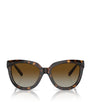 Ray-Ban Gold Metal 0RB3565 Sunglasses