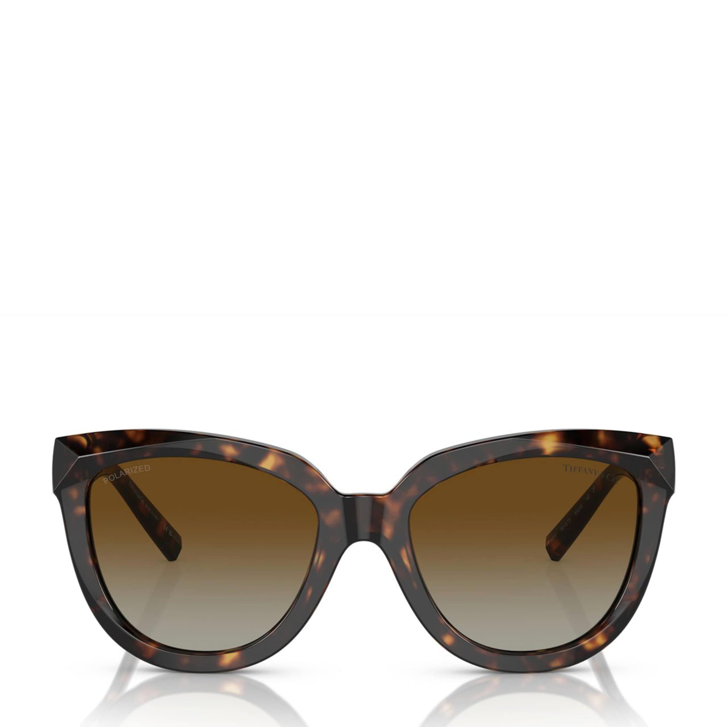 Ray-Ban Gold Metal 0RB3565 Sunglasses