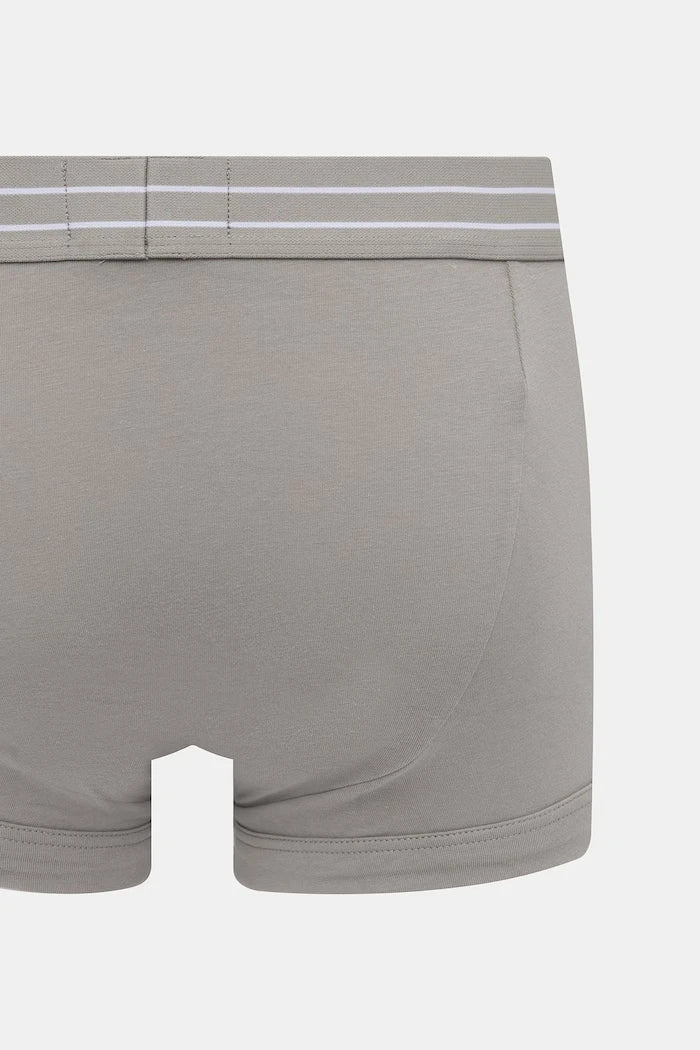 Emporio Armani Underwear erkek pamuk elastan boxer 2'li