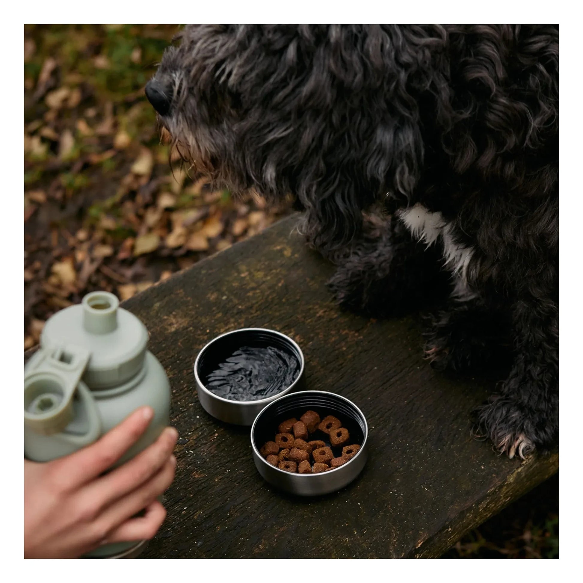 Haps Nordic - Haps Go dog bottle - 900 ml | Mint Green