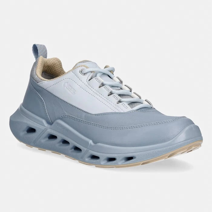 Маратонки Ecco Biom 720