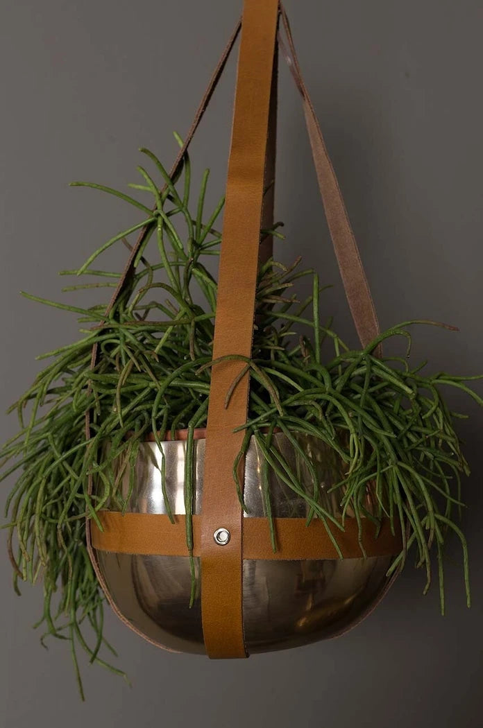 Dutchbone Oasis 47 × 21 cm Askılı Saksı